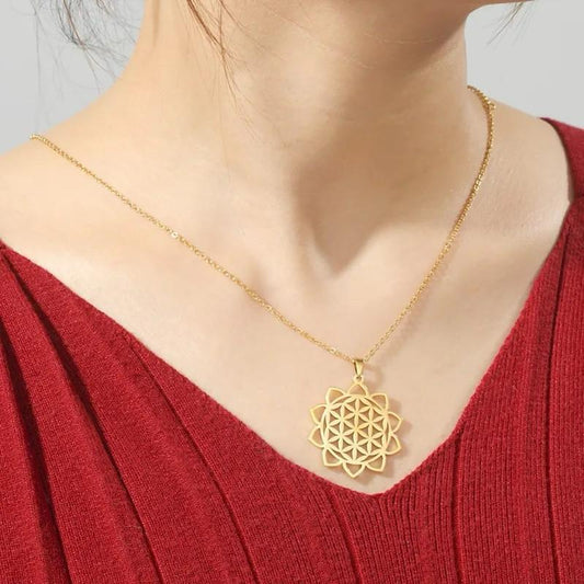 COLLAR STAINLESS STEEL